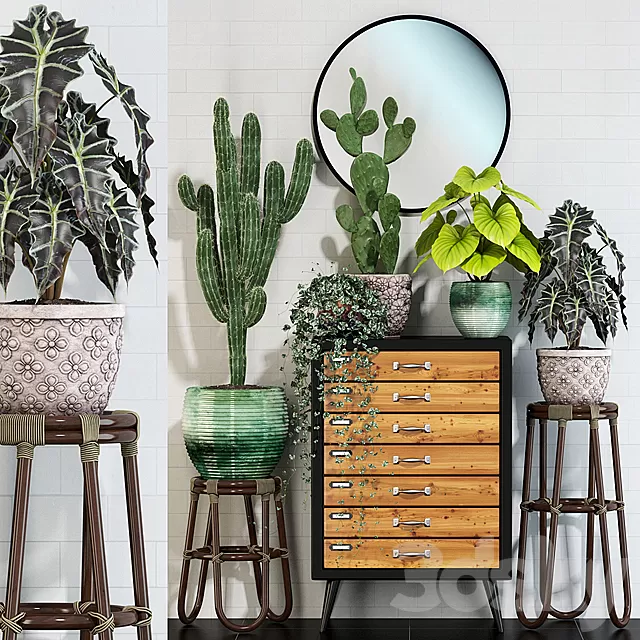 Plants – Flowers – 3D Models Download – Plants collection 123