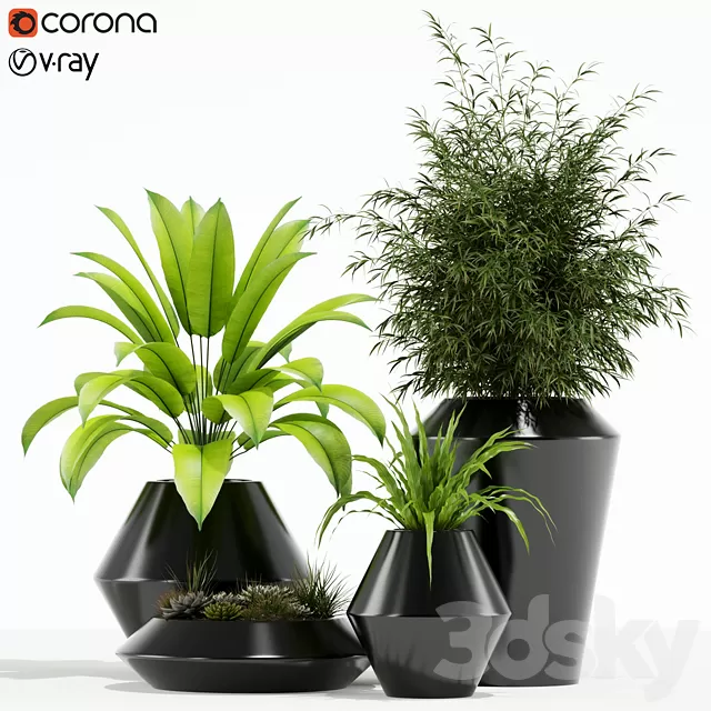 Plants – Flowers – 3D Models Download – Plants collection 133
