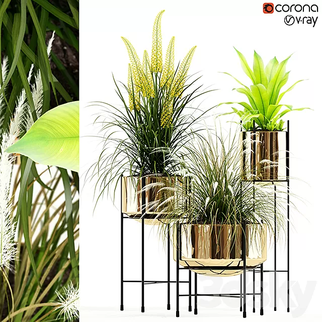 Plants – Flowers – 3D Models Download – Plants collection 146 AGATA