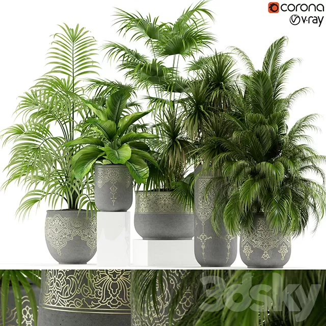 Plants – Flowers – 3D Models Download – Plants collection 147 handmade pots East style