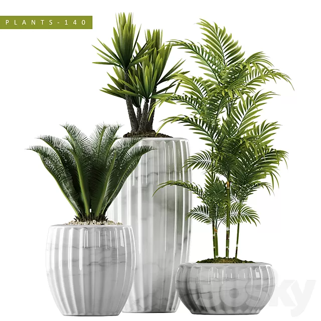 Plants – Flowers – 3D Models Download – Plants in Pots 140