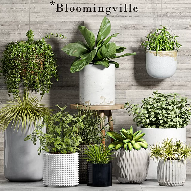 Plants – Flowers – 3D Models Download – Plants Set 58