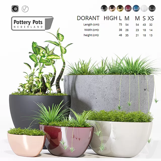 Plants – Flowers – 3D Models Download – Potterypots eight