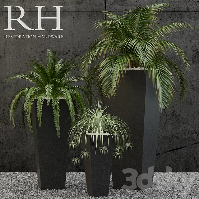 Plants – Flowers – 3D Models Download – Restoration Hardware Salento Tapered Planter