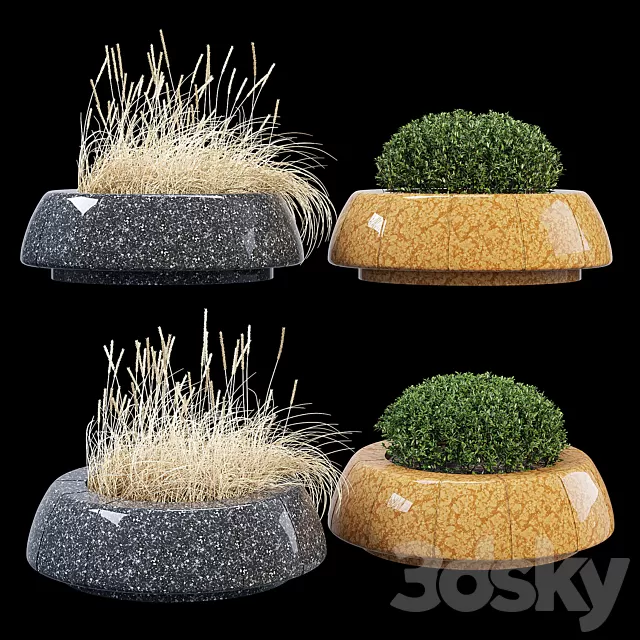 Plants – Flowers – 3D Models Download – Ring One