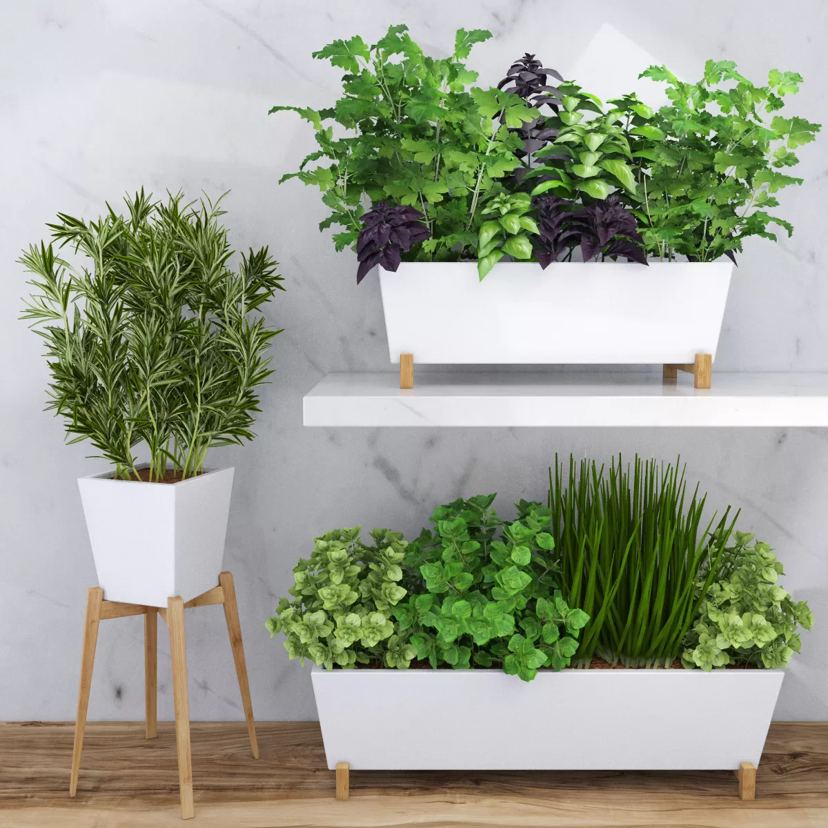 Plants – Flowers – 3D Models Download – Spicy herbs for the kitchen in ceramic pots