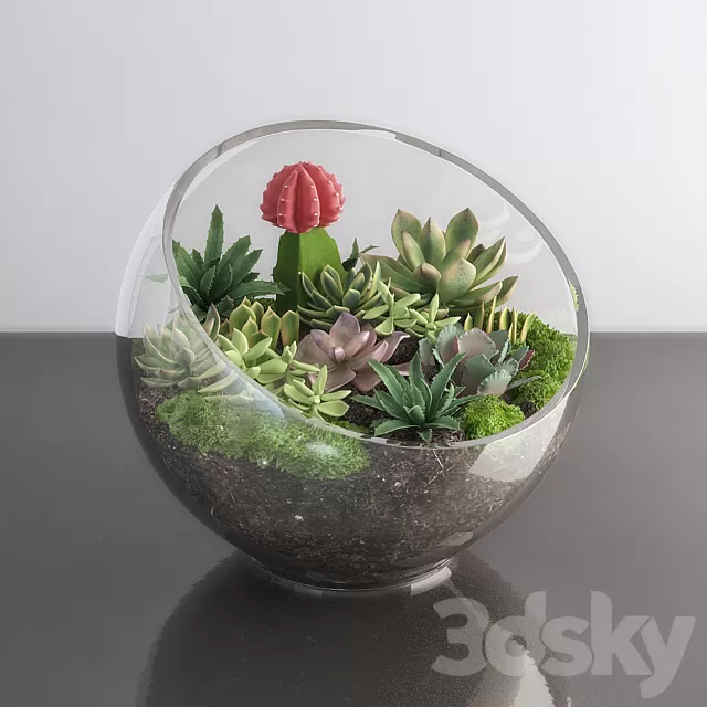 Plants – Flowers – 3D Models Download – Succulents in glass bowl