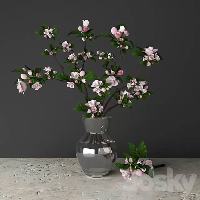 Plants – Flowers – 3D Models Download – Tsyvety Apple