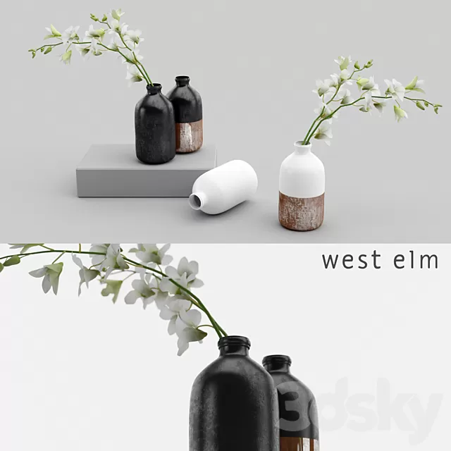Plants – Flowers – 3D Models Download – Westelm vases with Orchids (max; fbx)