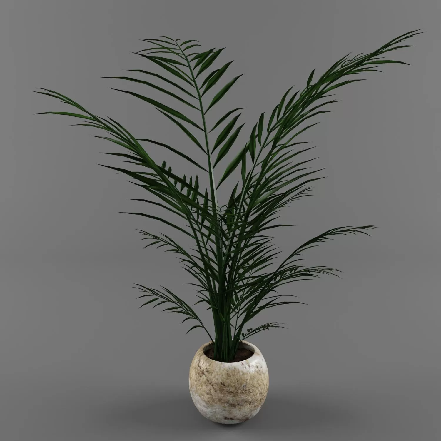 3DSKY PRO MODELS – 1795