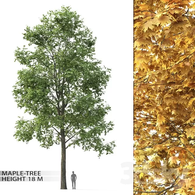 3DSKY PRO MODELS – 1980