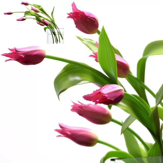 3DSKY PRO MODELS – 1991