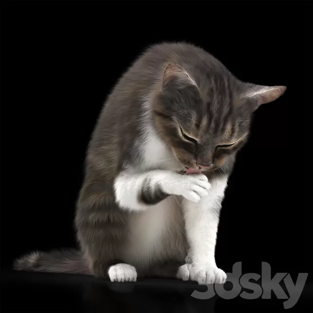 Creature – 3D Models – CAT 5