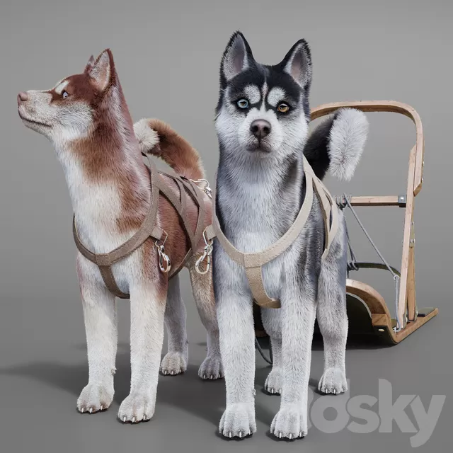 Creature – 3D Models – DogTeamHuskiesSledPulka