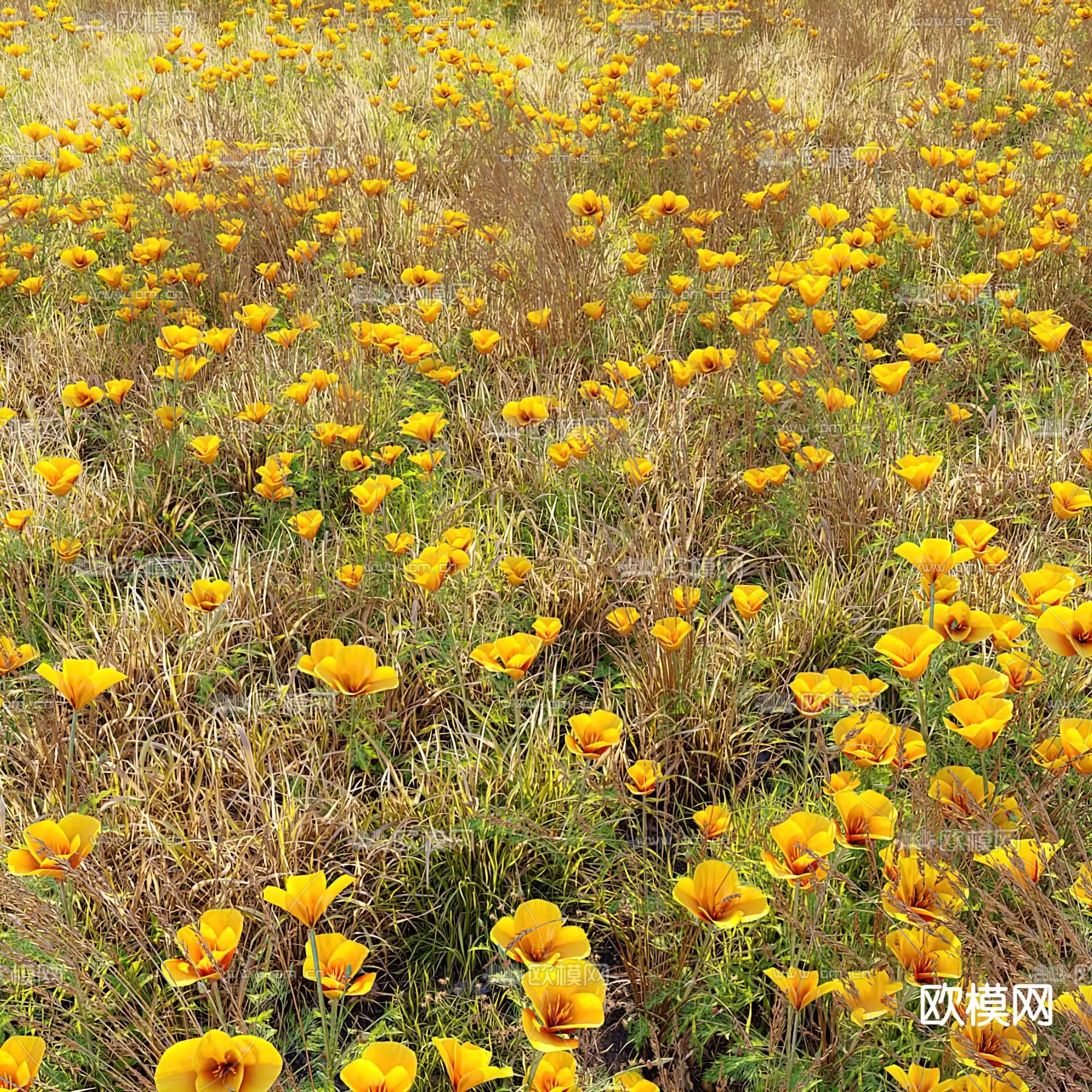 Plants and Flower – 3D Modesl – 0001