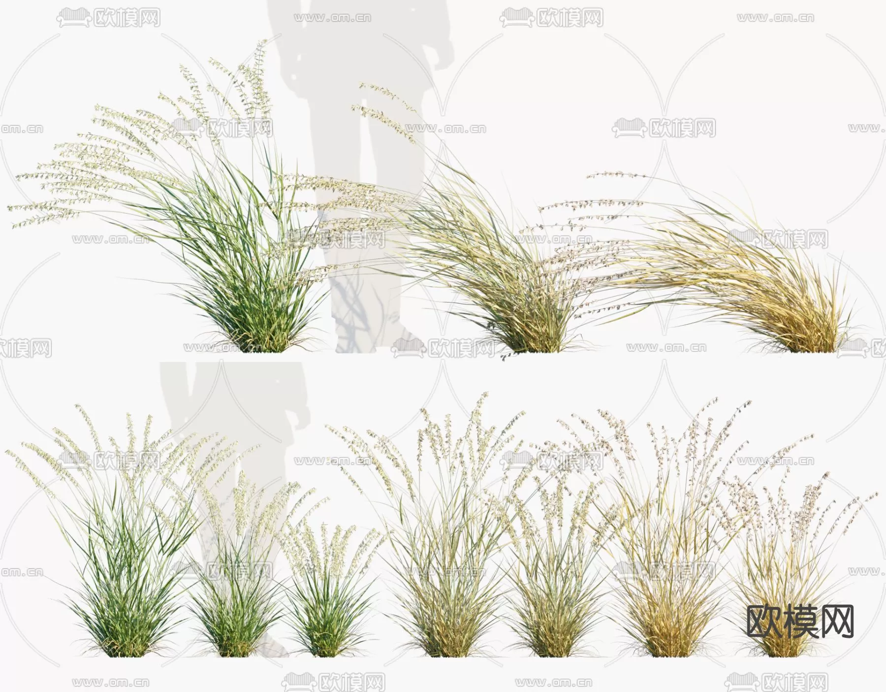 Plants and Flower – 3D Modesl – 0004