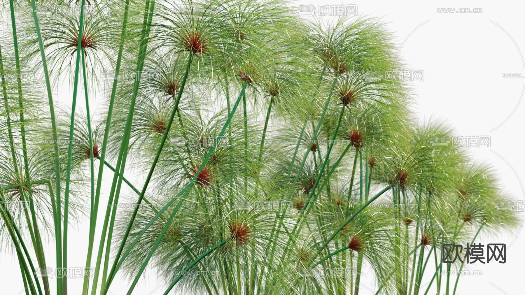 Plants and Flower – 3D Modesl – 0006