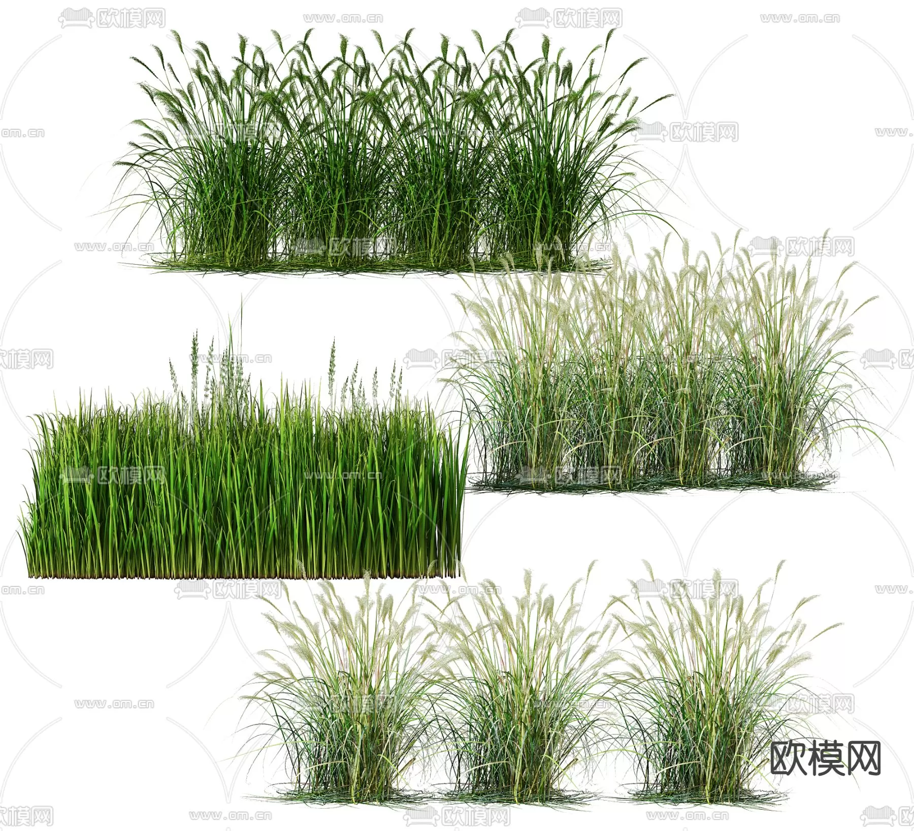 Plants and Flower – 3D Modesl – 0009