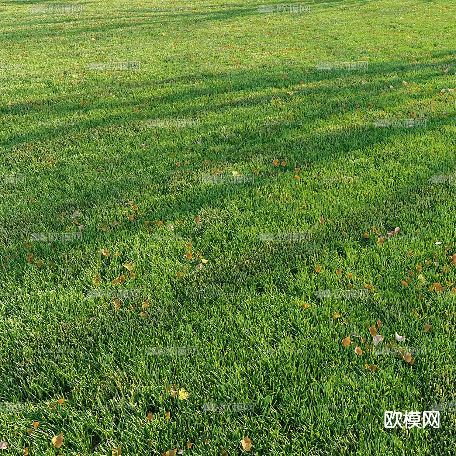 Plants and Flower – 3D Modesl – 0011