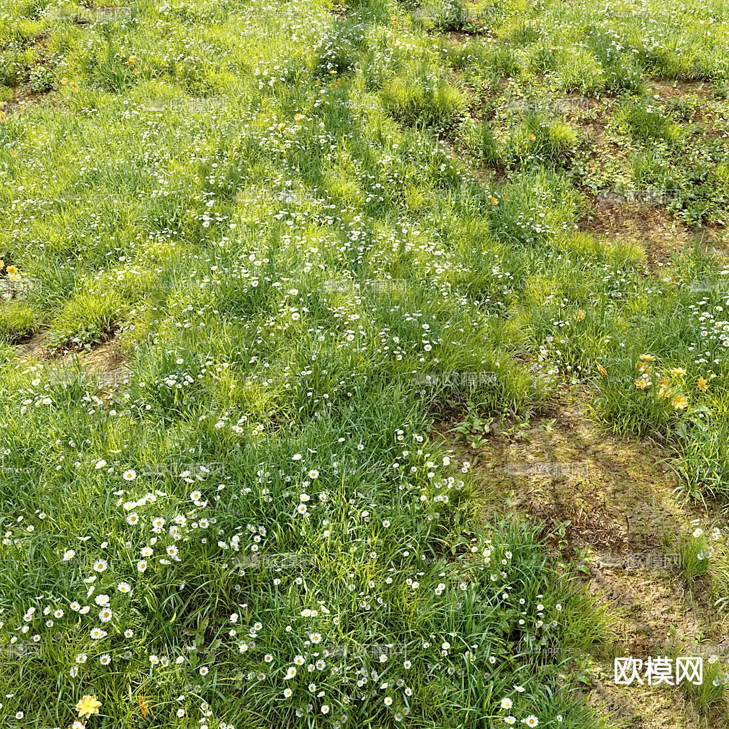 Plants and Flower – 3D Modesl – 0013