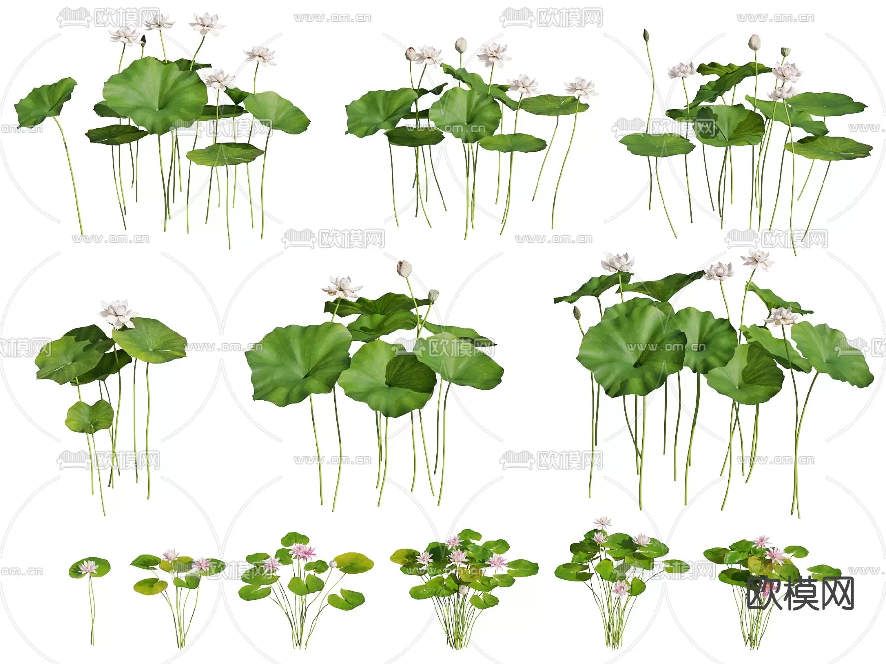 Plants and Flower – 3D Modesl – 0015