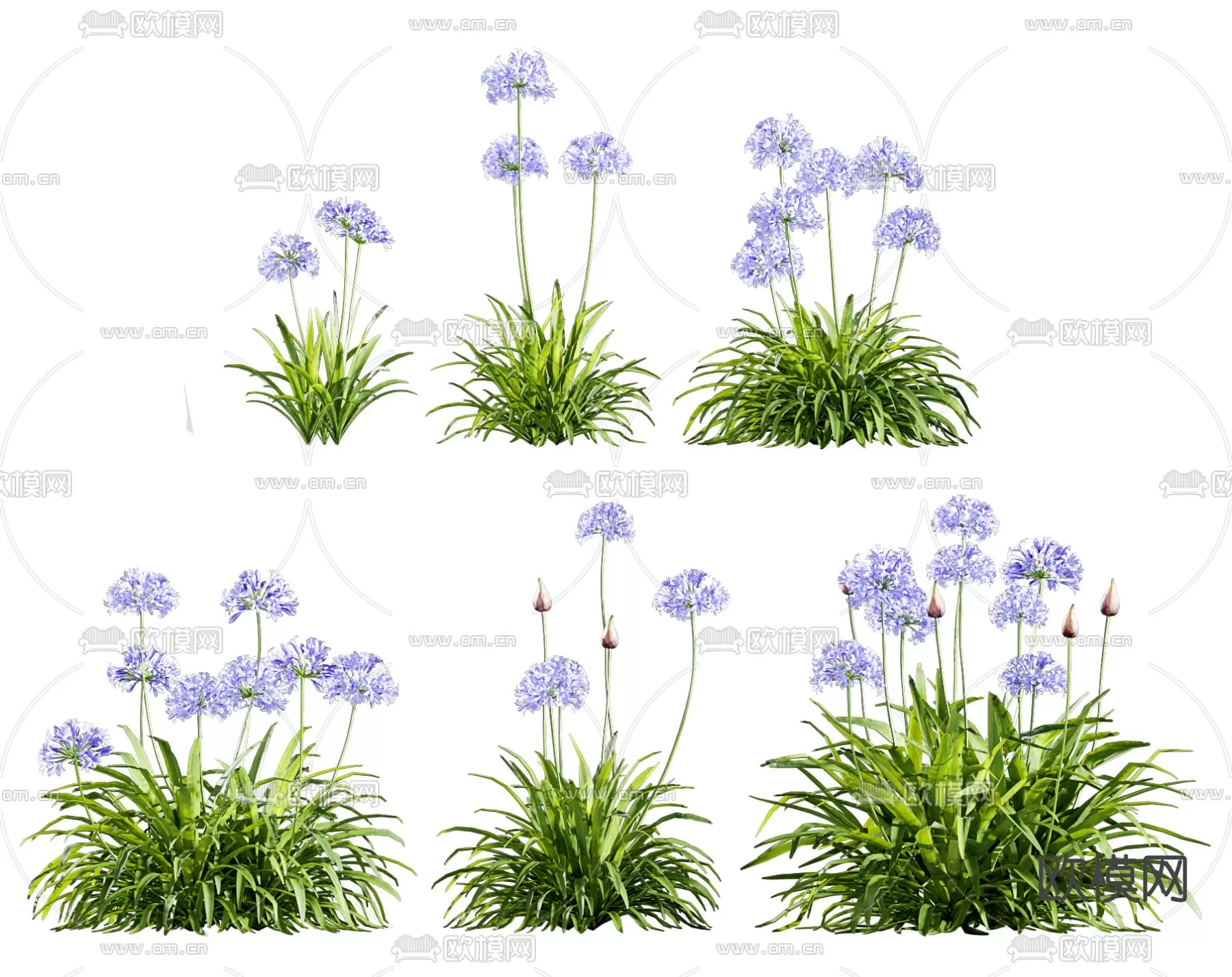 Plants and Flower – 3D Modesl – 0016