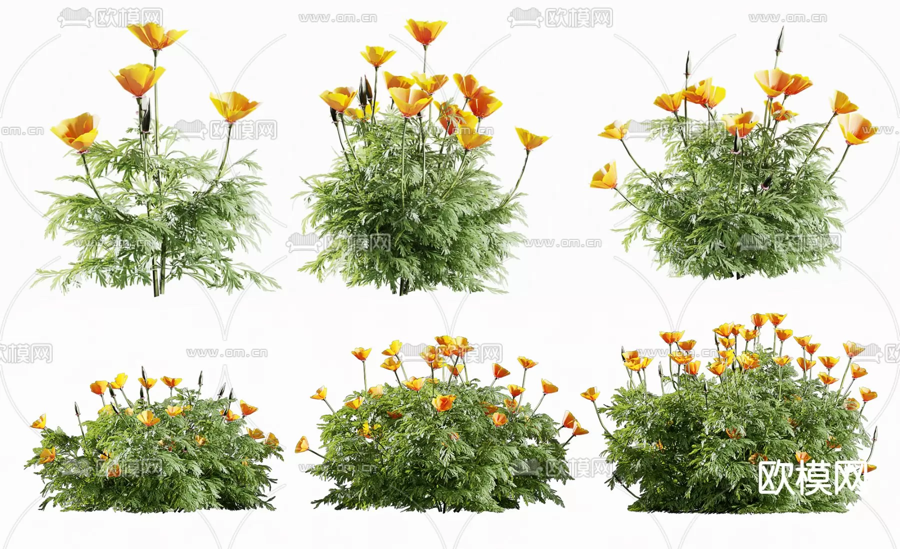 Plants and Flower – 3D Modesl – 0017