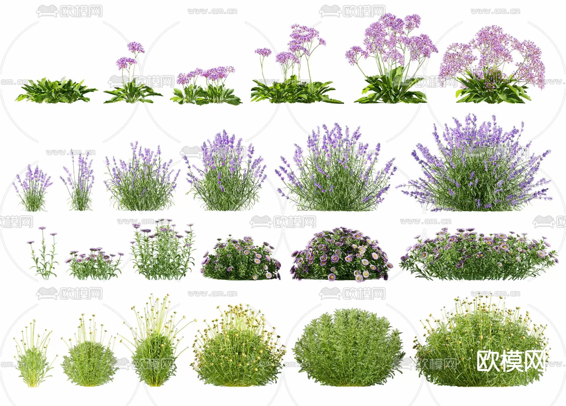 Plants and Flower – 3D Modesl – 0018