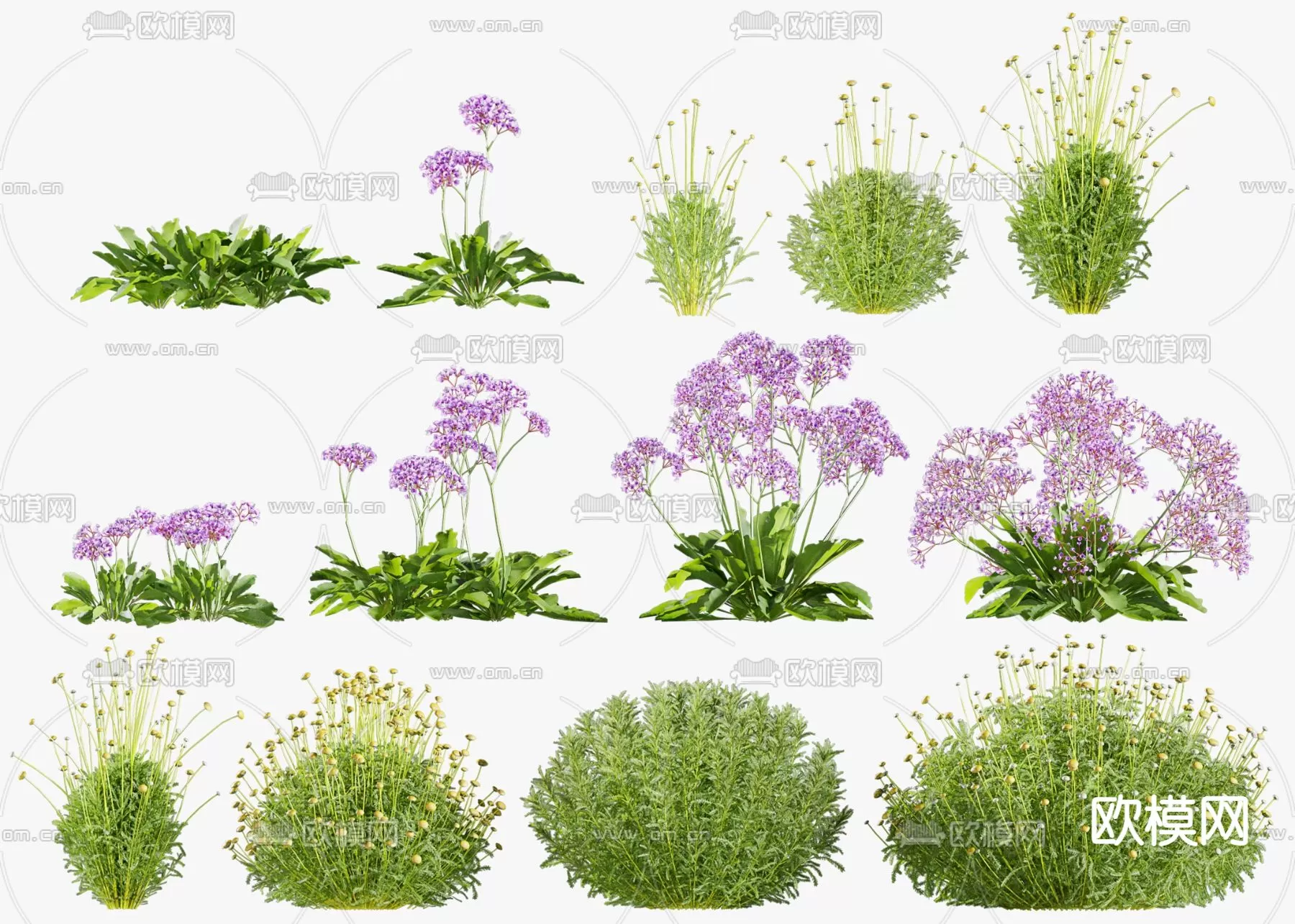 Plants and Flower – 3D Modesl – 0019