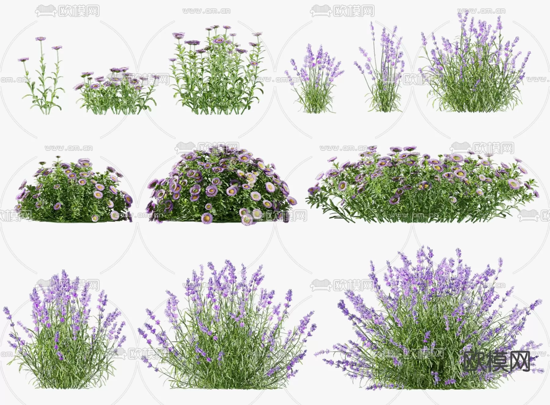 Plants and Flower – 3D Modesl – 0020