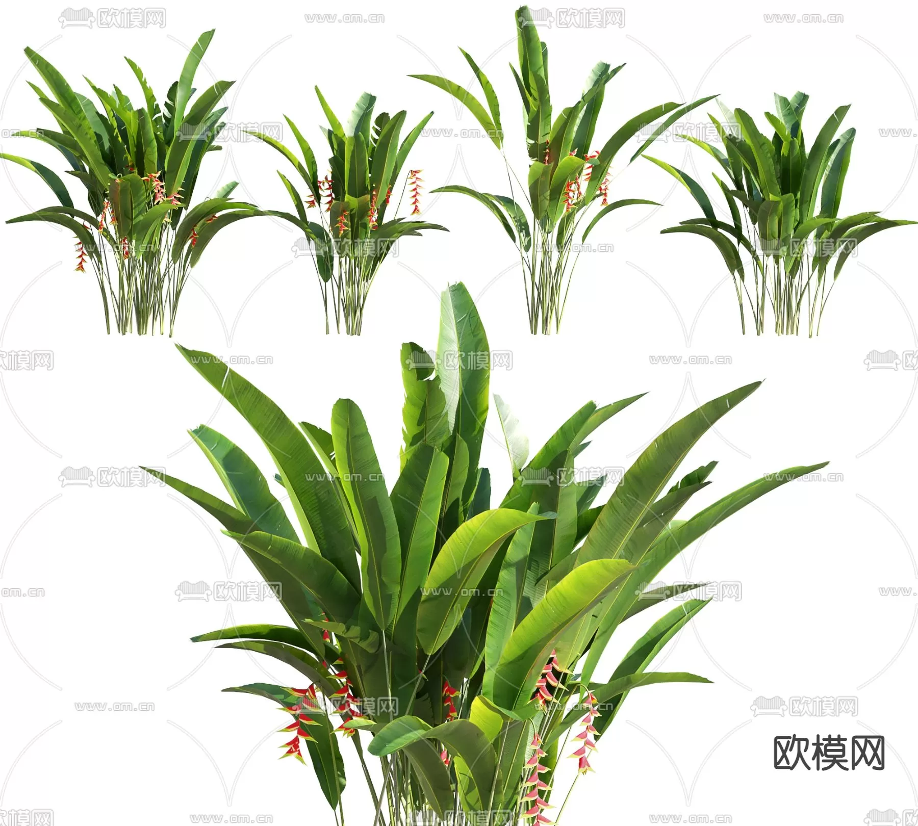 Plants and Flower – 3D Modesl – 0022