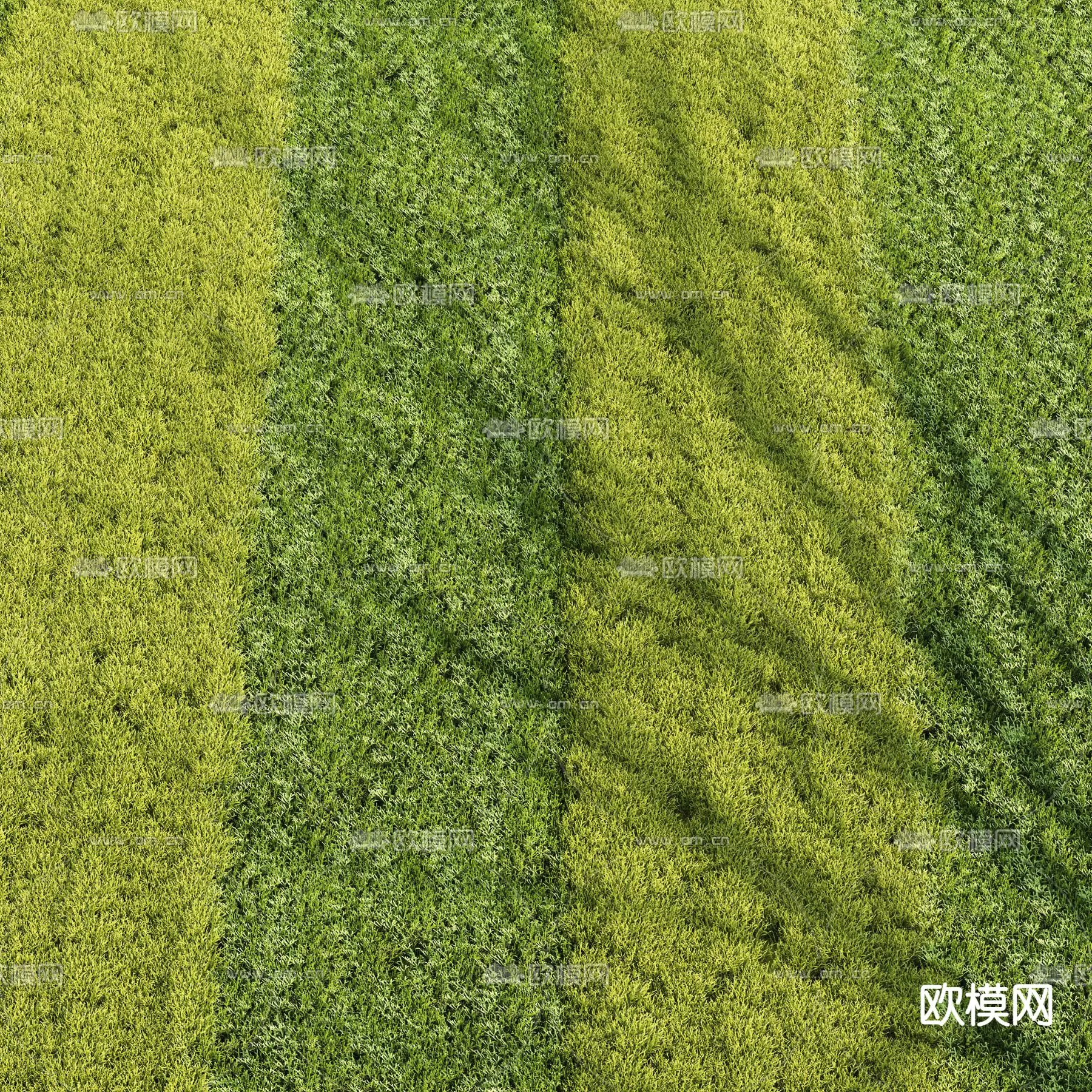 Plants and Flower – 3D Modesl – 0027