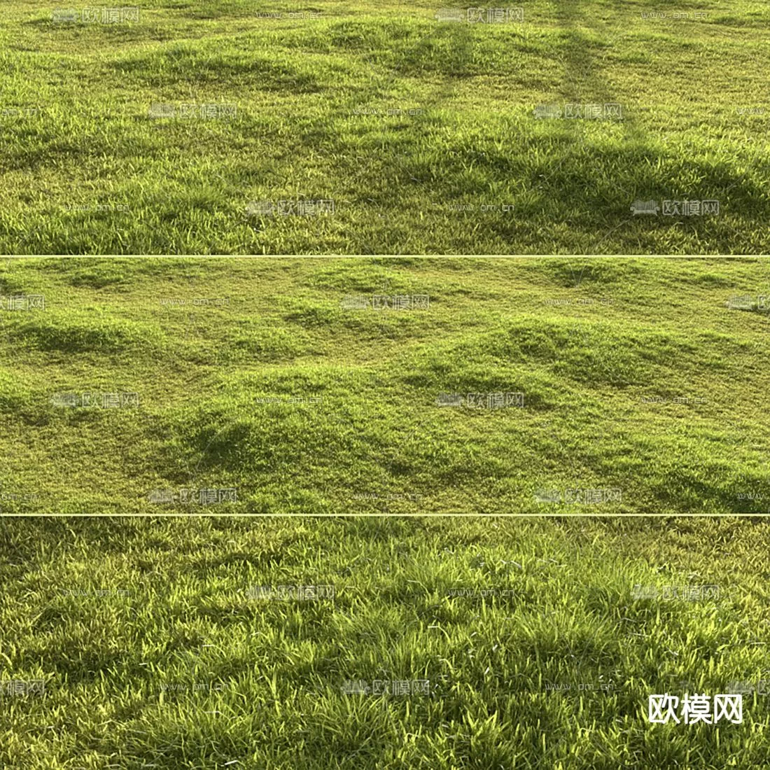 Plants and Flower – 3D Modesl – 0029