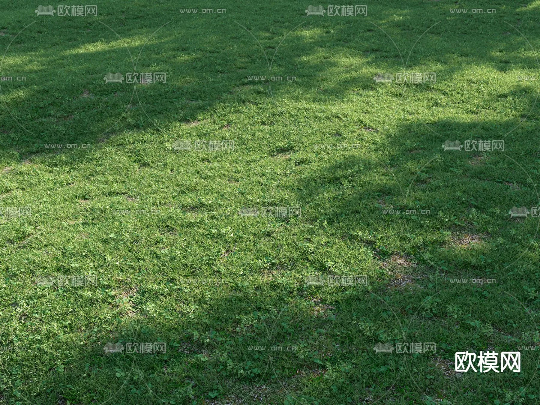 Plants and Flower – 3D Modesl – 0030