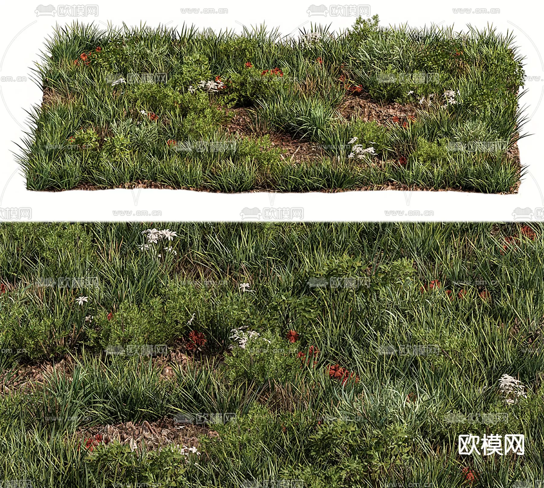 Plants and Flower – 3D Modesl – 0034