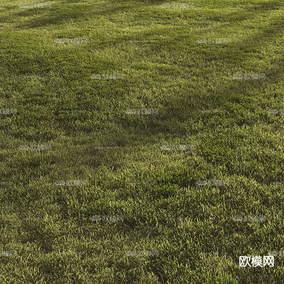 Plants and Flower – 3D Modesl – 0037