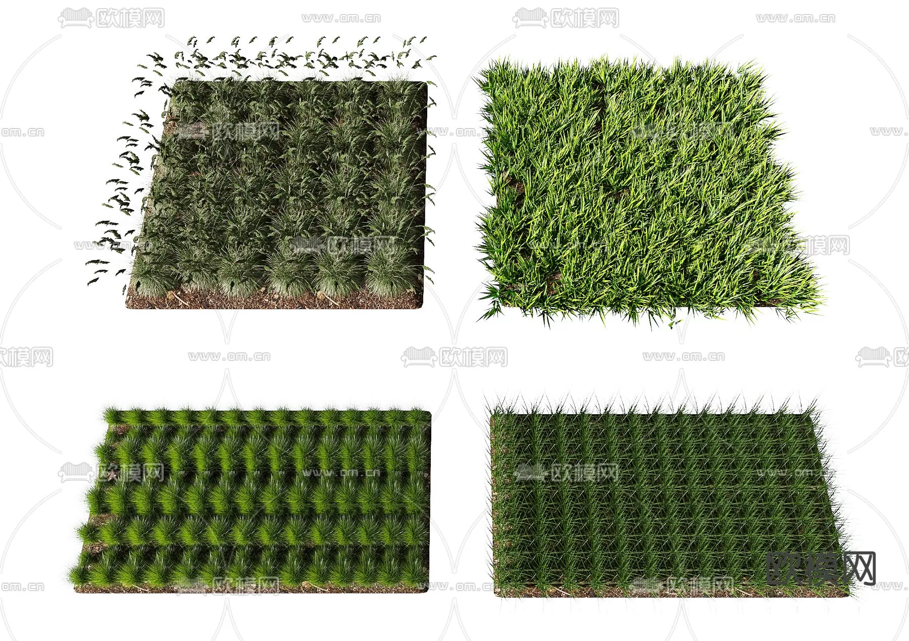 Plants and Flower – 3D Modesl – 0039