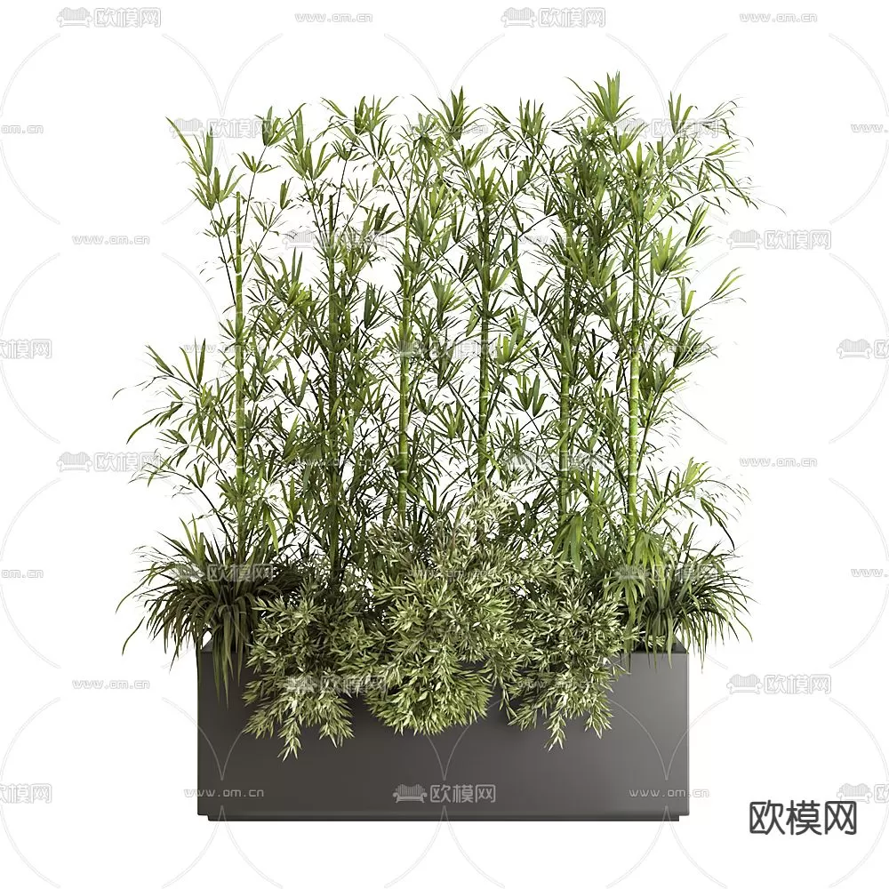 Plants and Flower – 3D Modesl – 0042