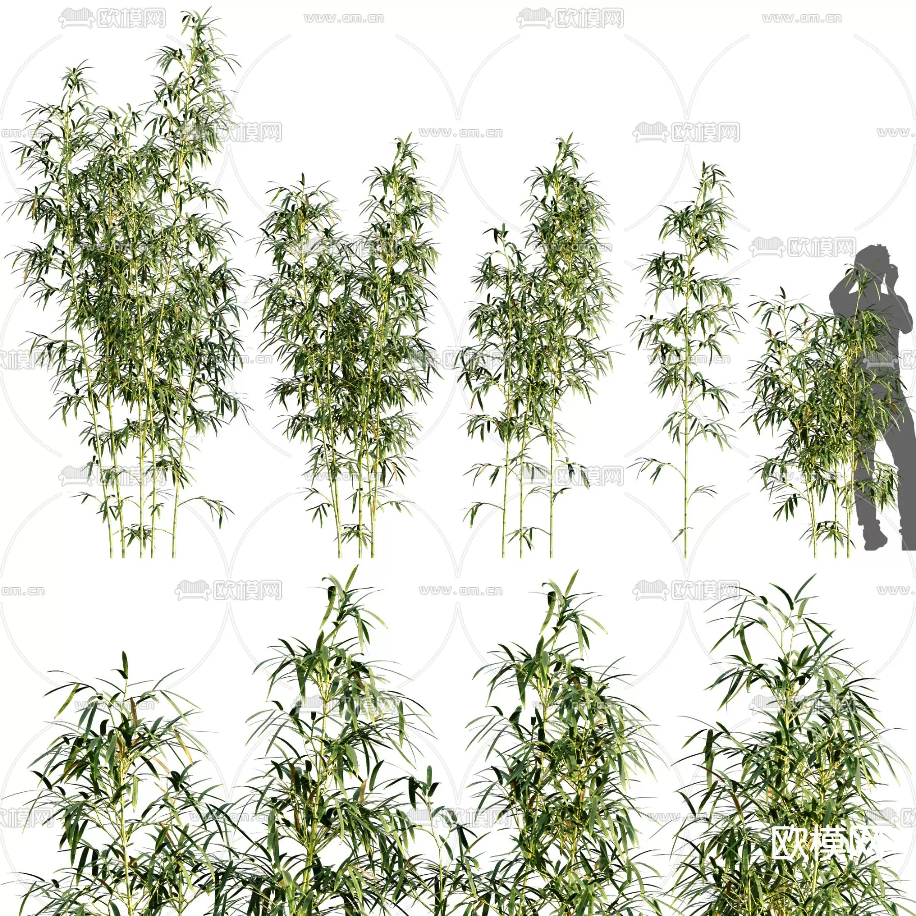 Plants and Flower – 3D Modesl – 0044