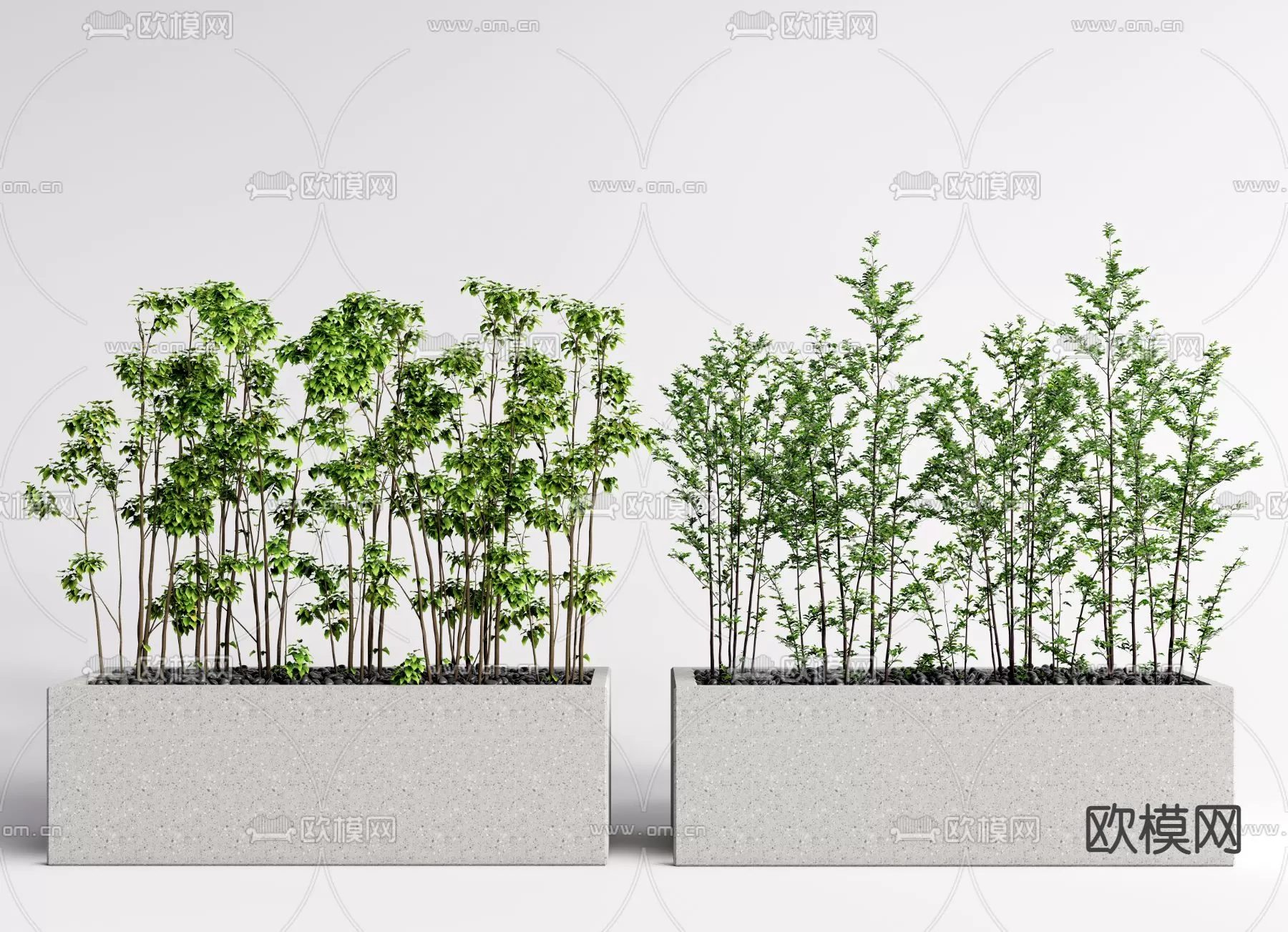 Plants and Flower – 3D Modesl – 0046