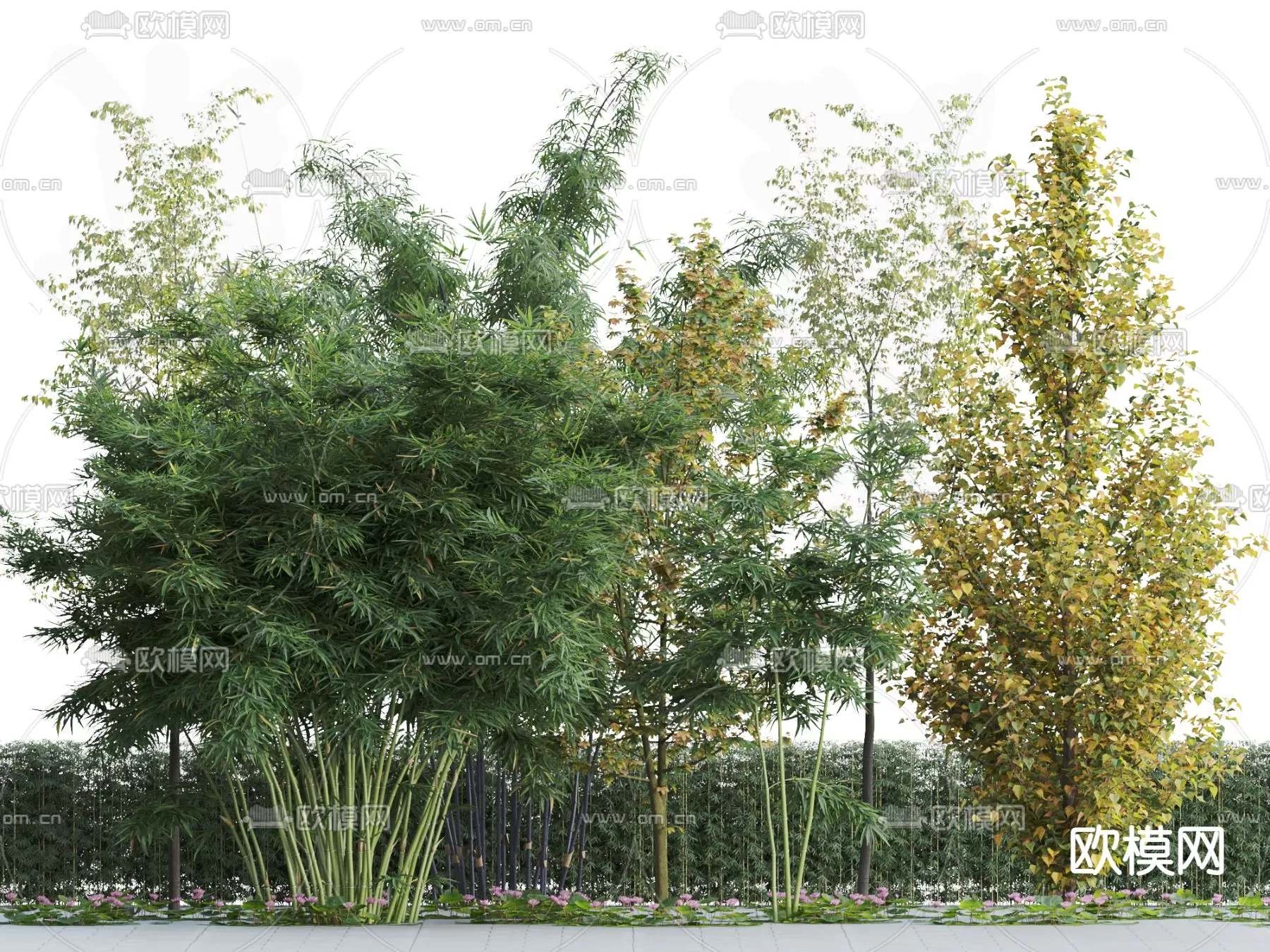 Plants and Flower – 3D Modesl – 0051