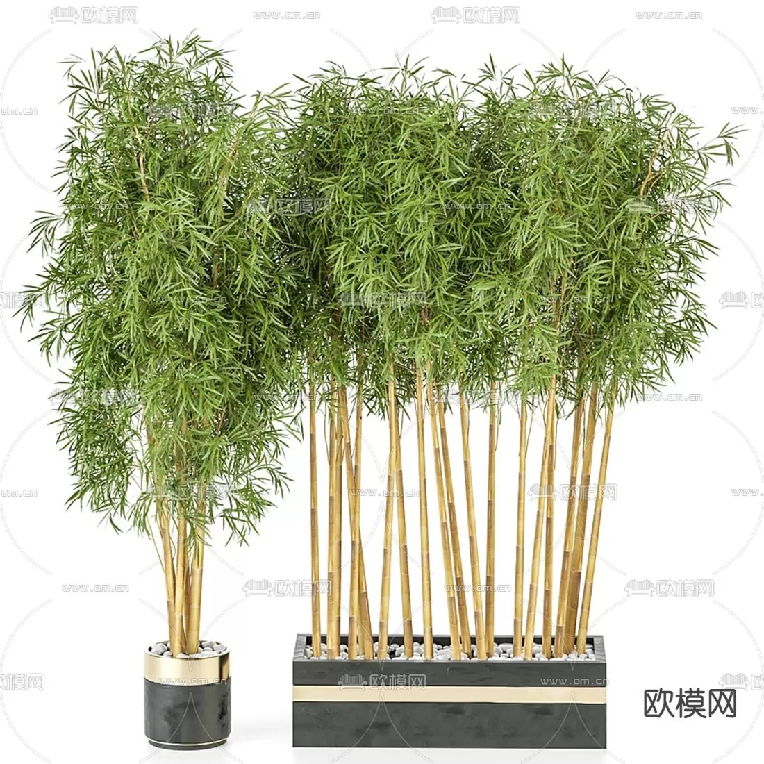 Plants and Flower – 3D Modesl – 0053