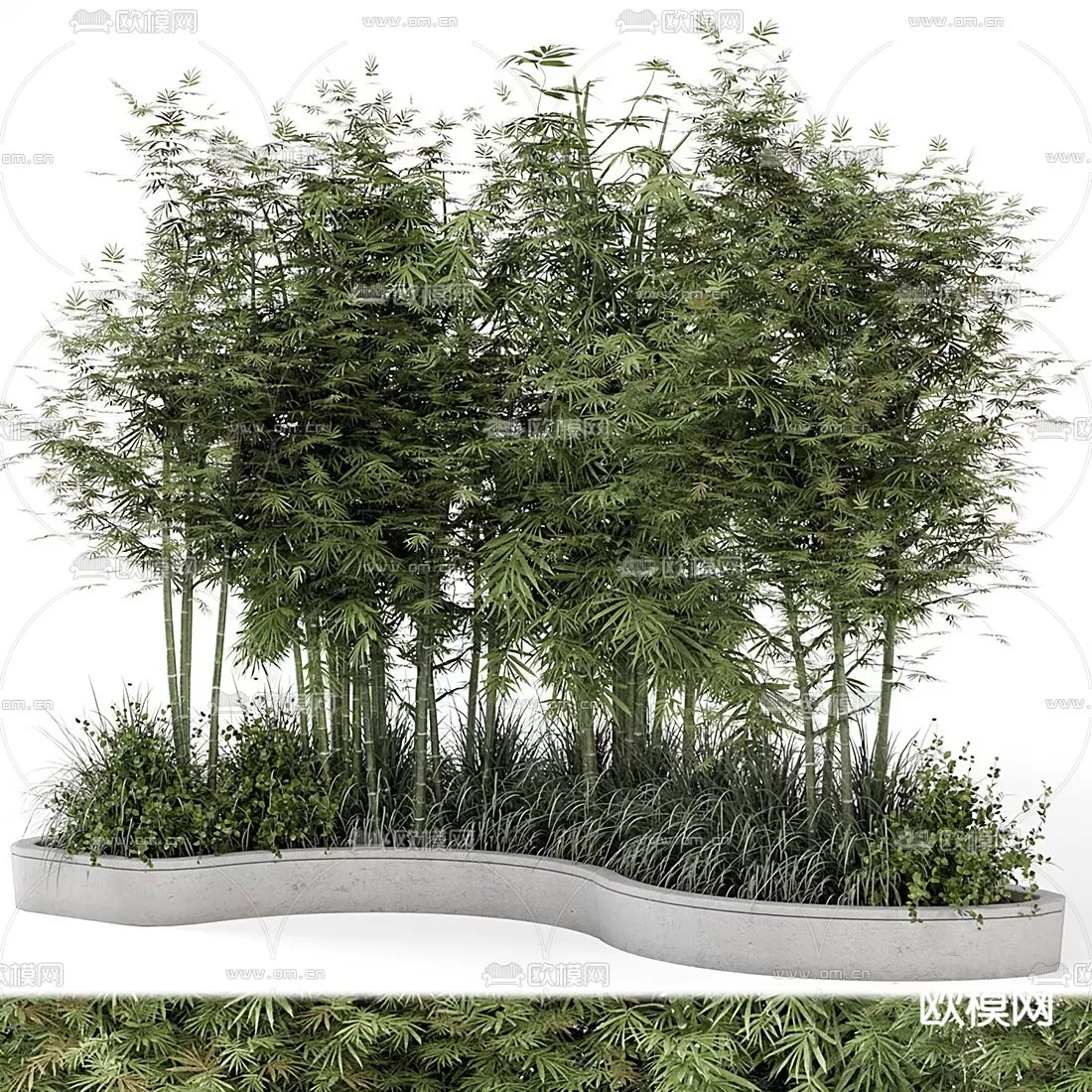 Plants and Flower – 3D Modesl – 0054