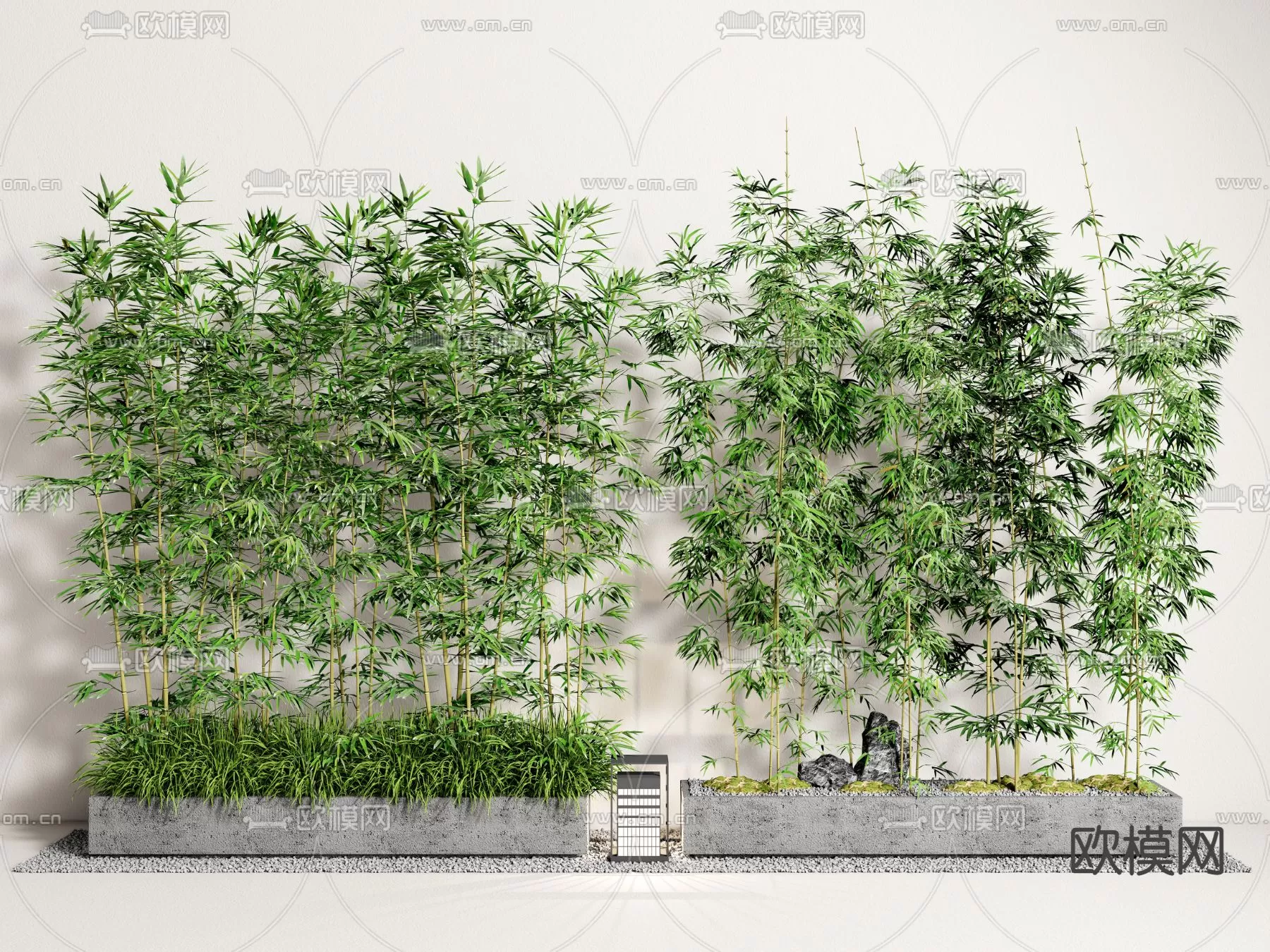 Plants and Flower – 3D Modesl – 0056