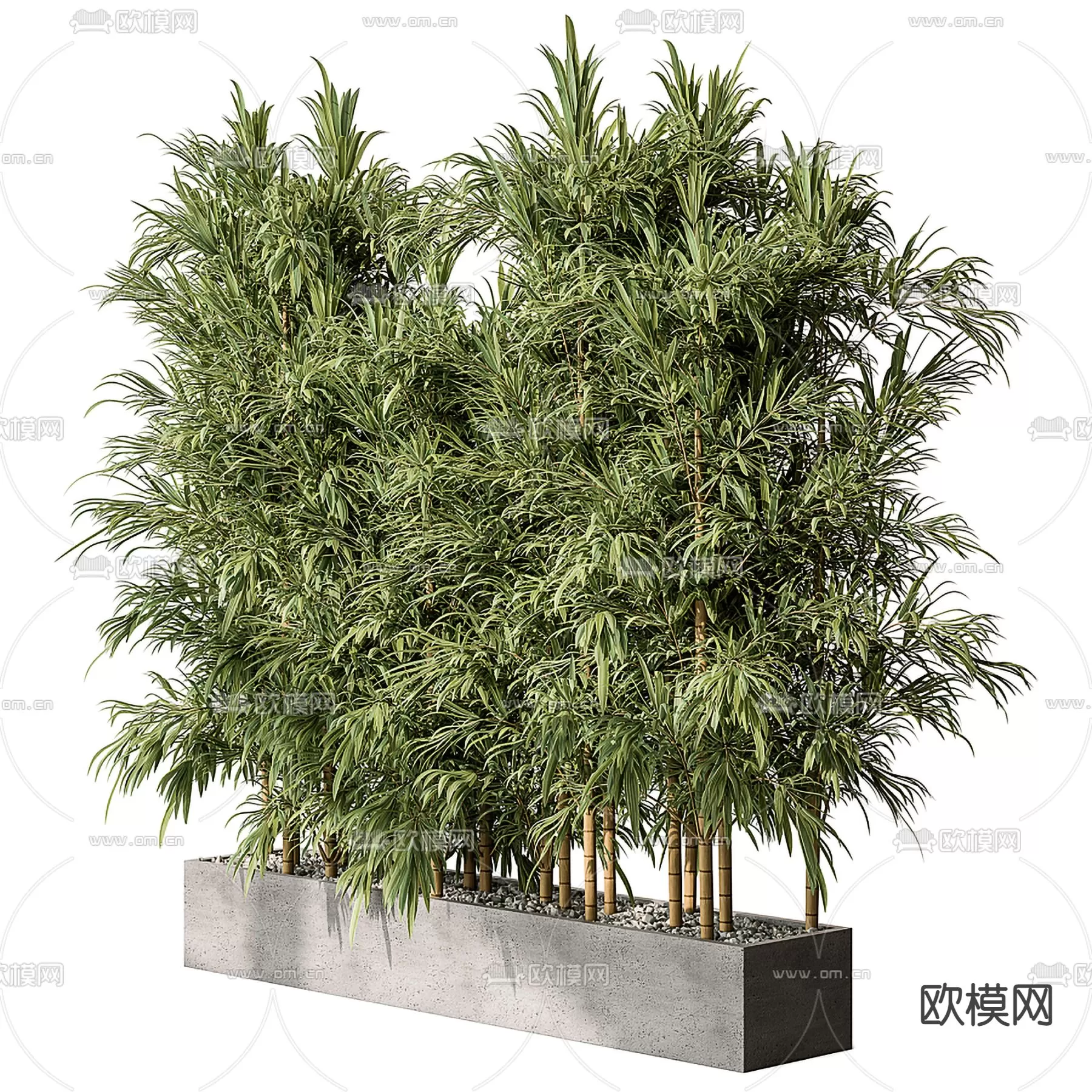 Plants and Flower – 3D Modesl – 0057