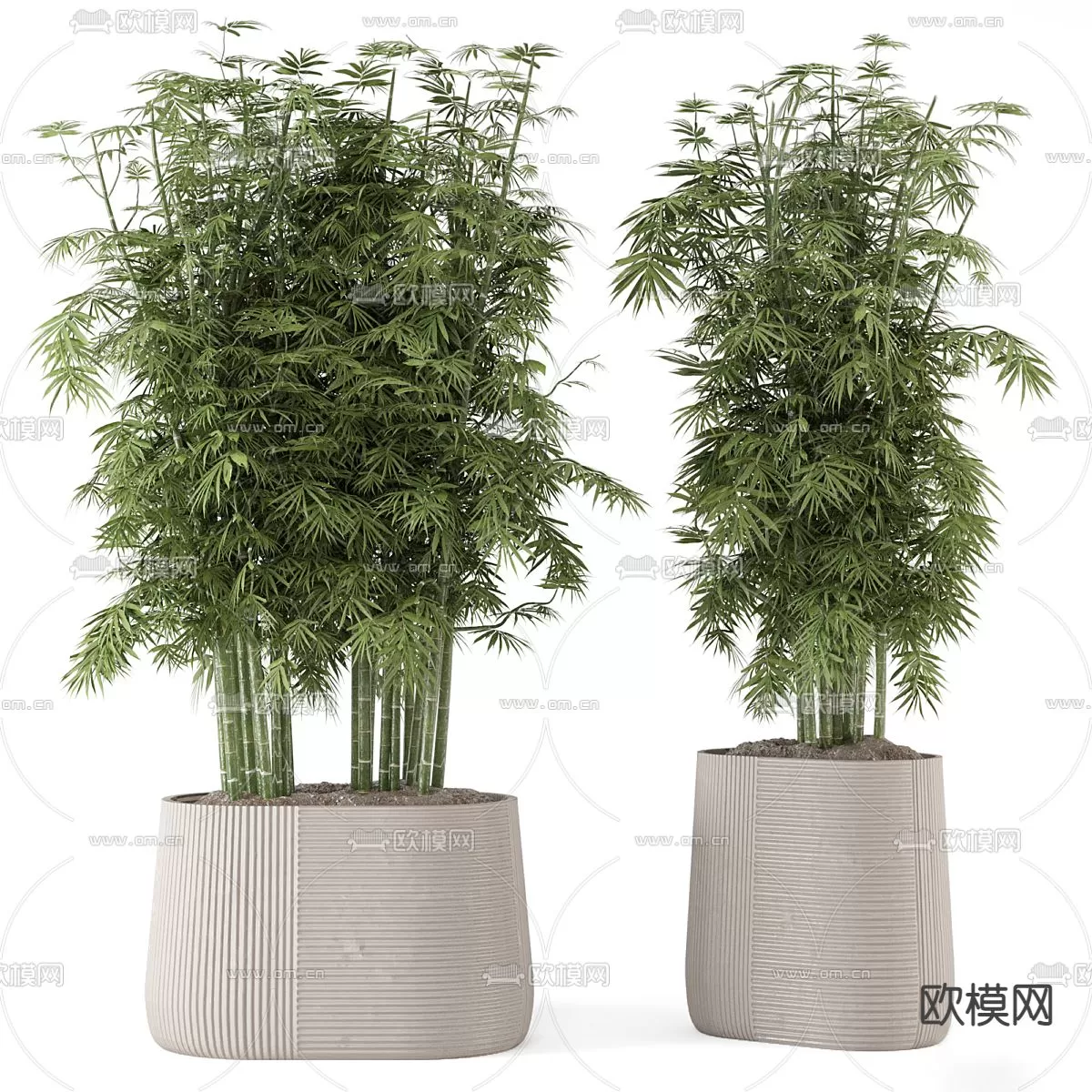 Plants and Flower – 3D Modesl – 0058