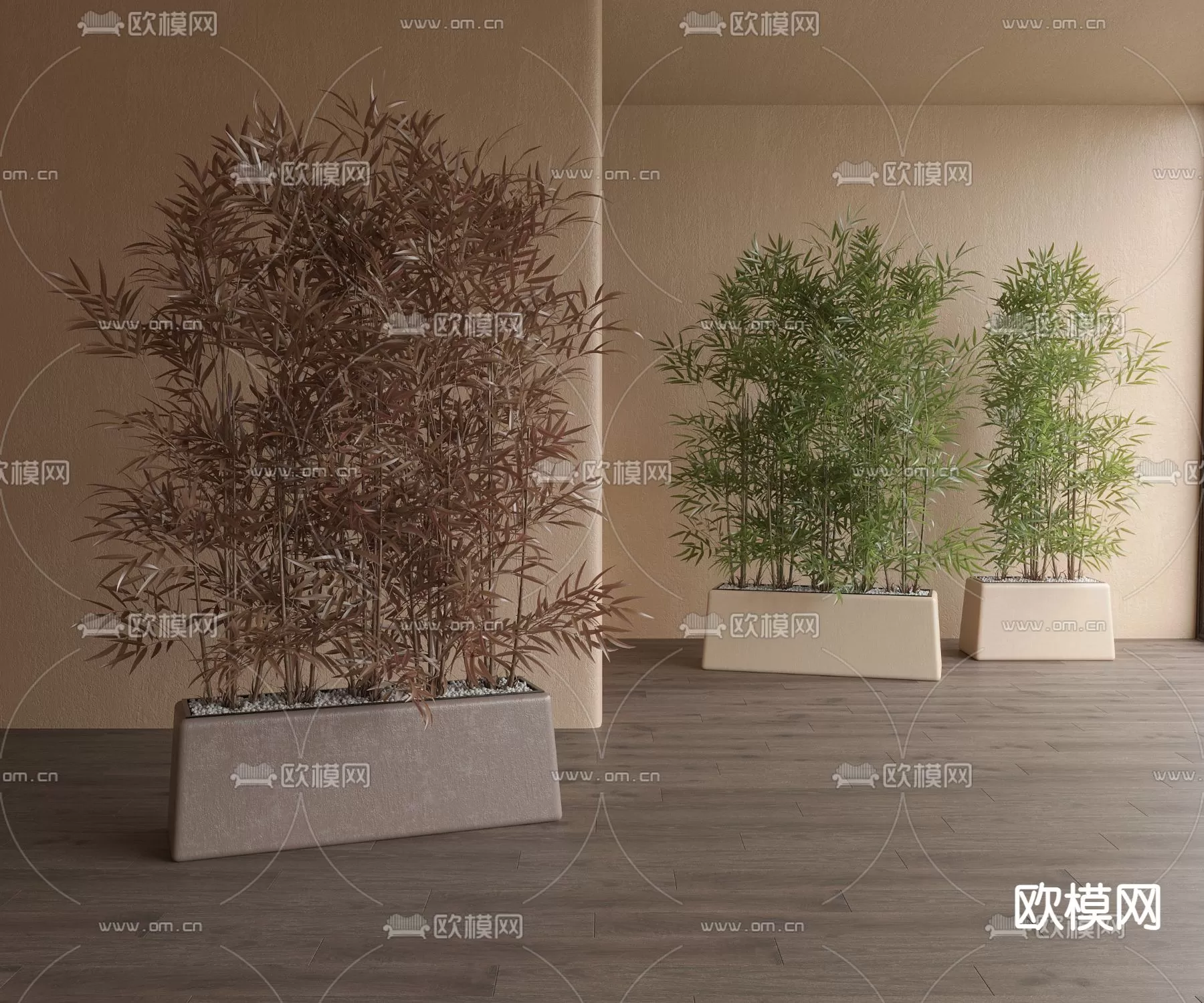 Plants and Flower – 3D Modesl – 0062