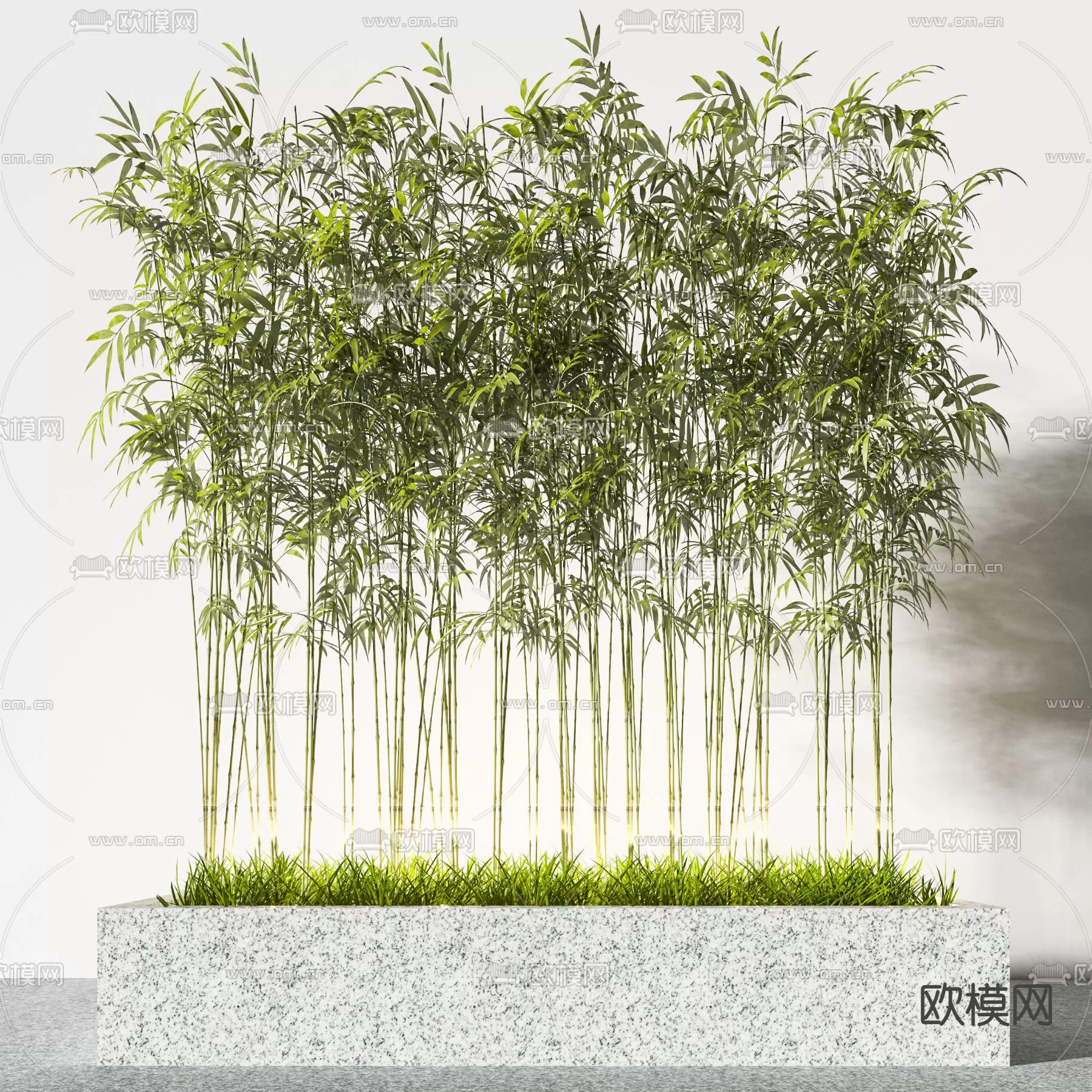 Plants and Flower – 3D Modesl – 0067