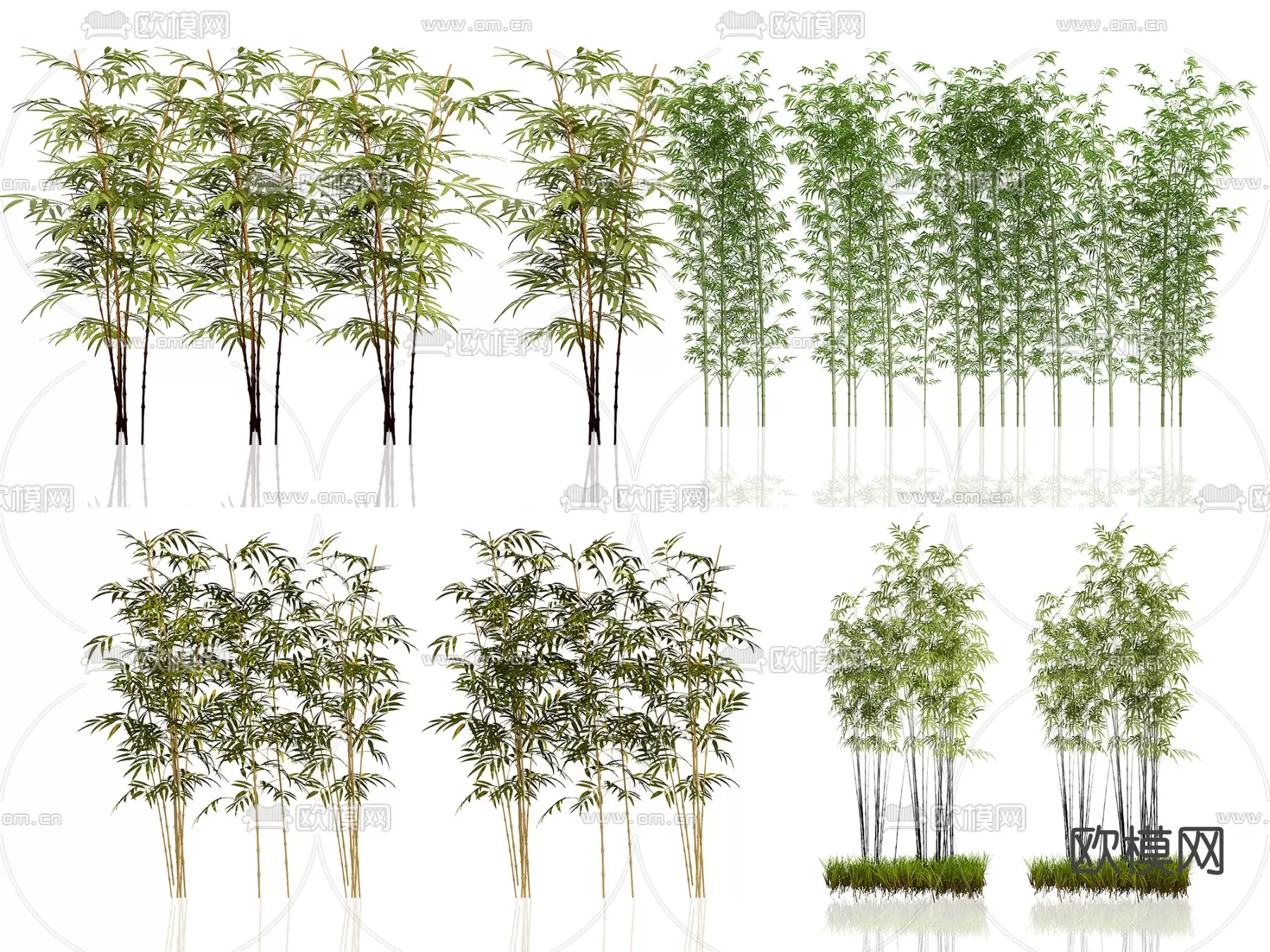 Plants and Flower – 3D Modesl – 0071