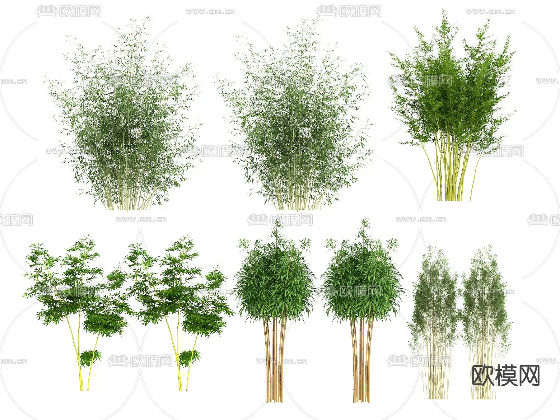 Plants and Flower – 3D Modesl – 0072